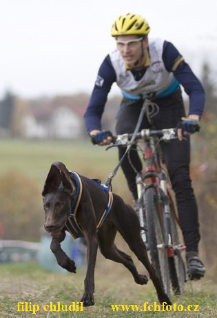 Trnavka 08 - 052.jpg